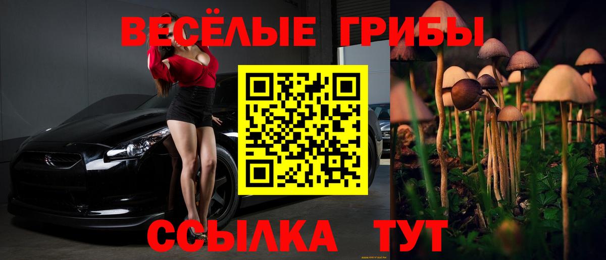 Галлюциногенные грибы MAGIC MUSHROOMS Кизилюрт