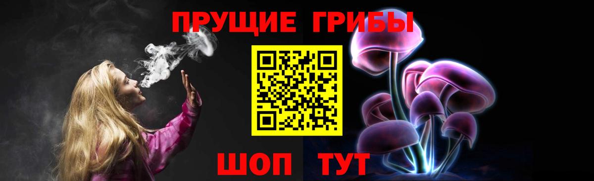 Псилоцибиновые грибы MAGIC MUSHROOMS  Вход с VPN  Кизилюрт  Псилоцибиновые грибы мицелий 